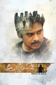 Agnyaathavaasi: Prince in Exile